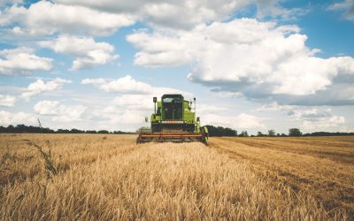 Online or On a Tractor? Digital Marketing for Small Farmers